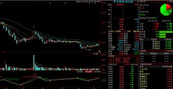 金股預(yù)測(cè)晚間版 計(jì)算機(jī)軟件開發(fā)板塊走強(qiáng)，印紀(jì)傳媒等3股后市上漲概率超75%